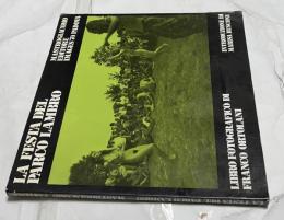 伊文)1976年6月 ミラノ・ランブロ公園のフェスティバル　La Festa Del Parco Lambro