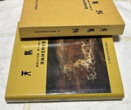 天馬塚 慶州市皇南洞第155号古墳 發掘調査報告書