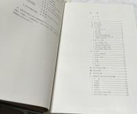 天馬塚 慶州市皇南洞第155号古墳 發掘調査報告書
