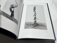 Spectacle 小俣光司彫刻作品集  光景
