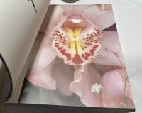 荒木経惟 花人生