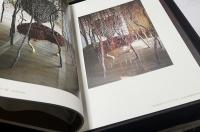 松田隆作作品集 いけばな組曲 SUITE:IKEBANA AS LIFE :