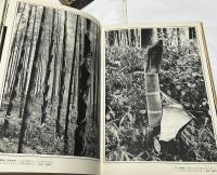 高間新治写真集  日本の竹 Banboo of Japan by Shinji Takama