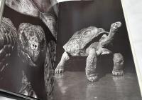 英独仏文)ゲイリーヒーリー 写真集  動物園　Zoo