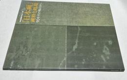 「日本画」純粋と越境  90年代の視点から (現代美術の手法 3.)