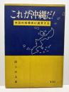 これが沖縄だ！　米国の指導者に直言する