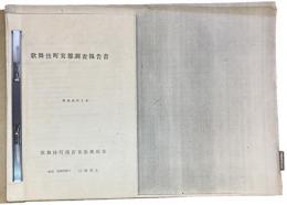 （コピー資料）「歌舞伎町実態調査報告書」（歌舞伎町商店街振興組合、昭和48年）、「歌舞伎町商店街振興組合 実態調査報告書」（新宿区区民課商工課、昭和57年）、「歌舞伎町実態調査報告書（普及版）」（歌舞伎町商店街振興組合、昭和57年） 一括