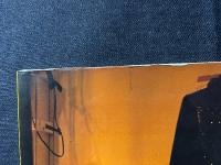 今陽子 写真集 NEW YORKで出逢ったステキな女 週刊プレイボーイ特別編集