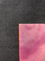 西田ひかる 写真集 ［19 Dreams］