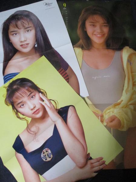 西田ひかる(1冊200円計算)148冊分401ページ切り抜きしファイリング済み 西田ひかる(1冊200円計算)148冊分401ページ切り抜きしファイリング済み