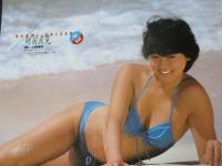 【切り抜き】財前直見（2）18ページ ピンナップ1枚 雑誌 女優 キャンペーンガール