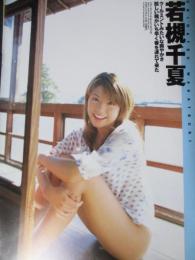 【切り抜き】若槻千夏約30ページ 雑誌 タレント グラビアアイドル