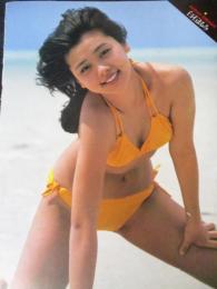 【切り抜き】白石まるみ14ページ 昭和 雑誌 タレント 女優