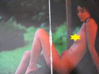 【切り抜き】石田夏子13ページ 写楽館 篠山紀信