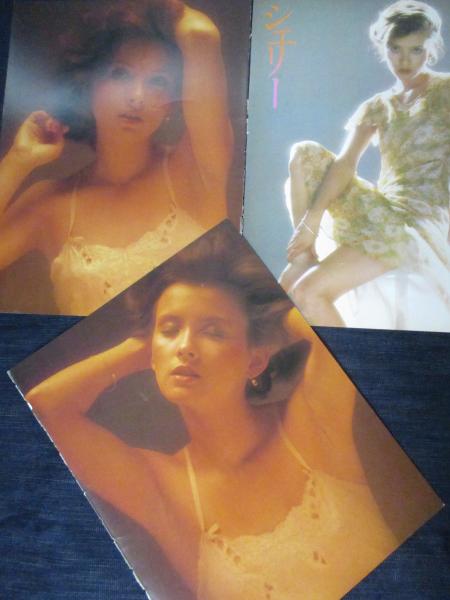 切り抜き】シェリー20ページ ピンナップ1枚 昭和 雑誌 タレント / 古本