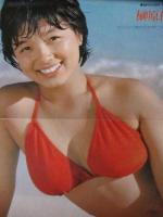 【切り抜き】 プレイボーイ 1979.2.13 ピンナップあり 榊原郁恵 江本あんり 岡麻美 日向明子 トリナ・タン エレーヌ・オン