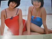 【ピンナップ1枚】ザ・リリーズ 昭和 雑誌 1970年代 アイドル