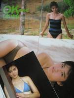 【切り抜き】生稲晃子18ページ ピンナップ1枚 雑誌 タレント