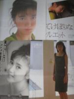 【切り抜き】生稲晃子18ページ ピンナップ1枚 雑誌 タレント