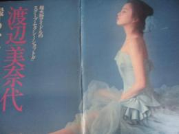 【切り抜き】渡辺美奈代20ページ ピンナップ1枚 雑誌 グラビア タレント
