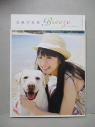 夏帆 写真集 Breeze with きな子