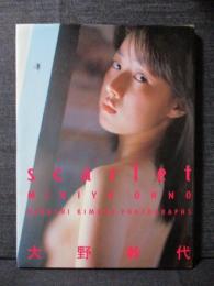 大野幹代 写真集 scarlet