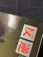 立河宜子 写真集 反逆のシンデレラ