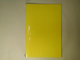 Medeia 2.0 ISSUE N°02: Stefano De Luigi