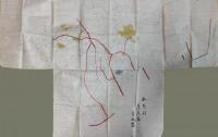 （肉筆彩色地図）　山形県加茂町地図　大字加茂、岩倉、坂ノ下、大崩　計4枚　明治27年1月写