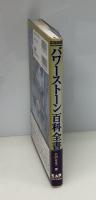 パワーストーン百科全書331 : 鉱物図鑑 : 先達が語る鉱物にまつわる叡智 : エンサイクロペデイア
