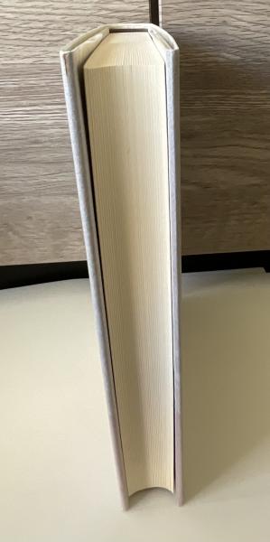 現代演劇のフィールドワーク : 芸術生産の文化社会学(佐藤郁哉 著