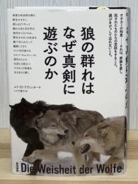 狼の群れはなぜ真剣に遊ぶのか