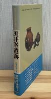 日本の古代遺跡を掘る