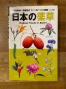 日本の薬草