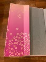 園井恵子・資料集 : 原爆が奪った未完の大女優