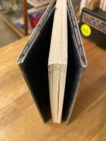 ハプスブルクの実験 : 多文化共存を目指して