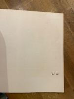 ハーレム : 黒い天使たち