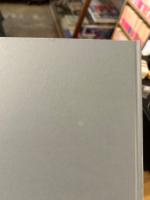 DI SGUINCIO, 1969–81