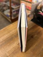 女優芹明香伝説