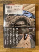 美を見抜く　眼の力