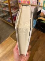 否定的なもののもとへの滞留 : カント、ヘーゲル、イデオロギー批判