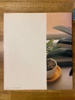 生きている : 佐内正史写真集