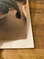 生きている : 佐内正史写真集