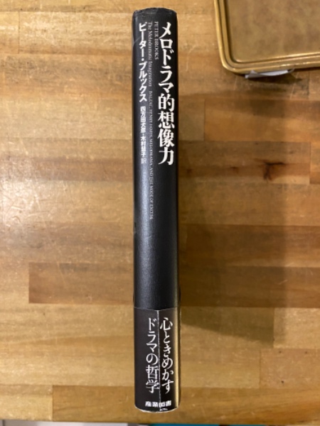メロドラマ的想像力(ピーター・ブルックス 著 ; 四方田犬彦, 木村慧子