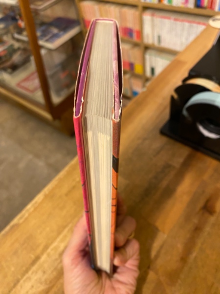 最新入荷 ストレンジ・ヌード・カルト : 著 不思議の裸体天国(秋田昌美 その他