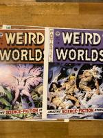 Weird Worlds Portfolio