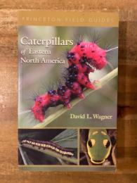 Caterpillars of Eastern North America