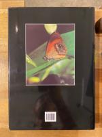 Butterflies of the Solomon Islands : systematics and biogeography