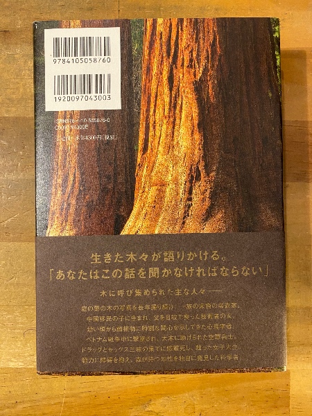 オーバーストーリー(リチャード・パワーズ著 ; 木原善彦訳) / 古本