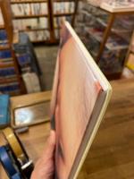 羊水にみる光